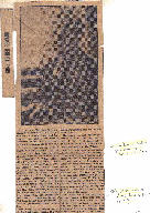 WILSON Minnie Cecil 1872-1921 mothers obit.jpg